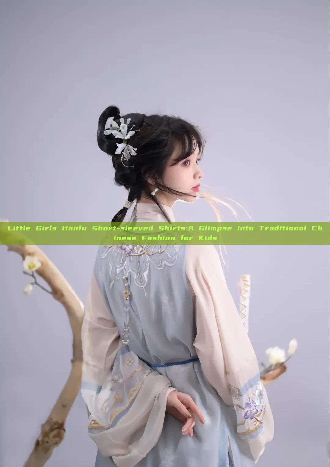 Little Girls Hanfu Short-sleeved Shirts:A Glimpse into Traditional Chinese Fashion for Kids Little Girls Hanfu Short-sleeved Shirts:A Glimpse into Traditional Chinese Fashion for Kids