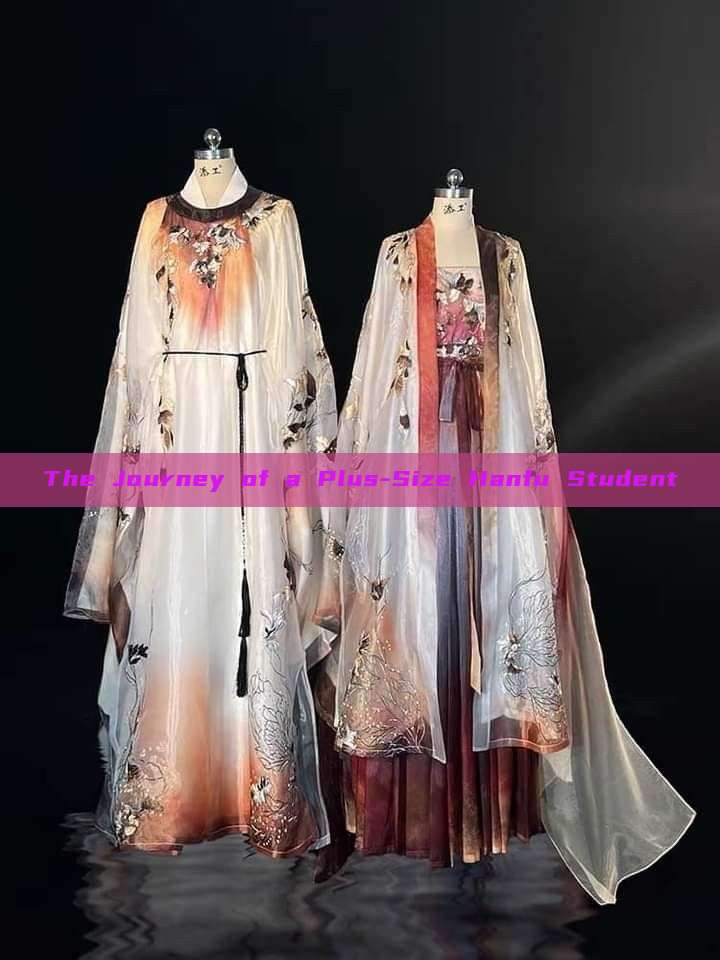 The Journey of a Plus-Size Hanfu Student The Journey of a Plus-Size Hanfu Student