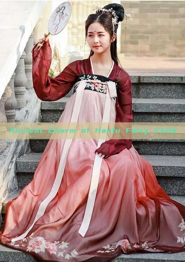 Ancient Charm of Hanfu Fairy Child Ancient Charm of Hanfu Fairy Child