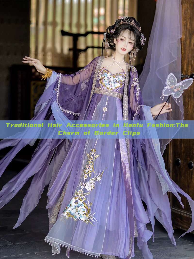 Traditional Hair Accessories in Hanfu Fashion:The Charm of Border Clips Traditional Hair Accessories in Hanfu Fashion:The Charm of Border Clips