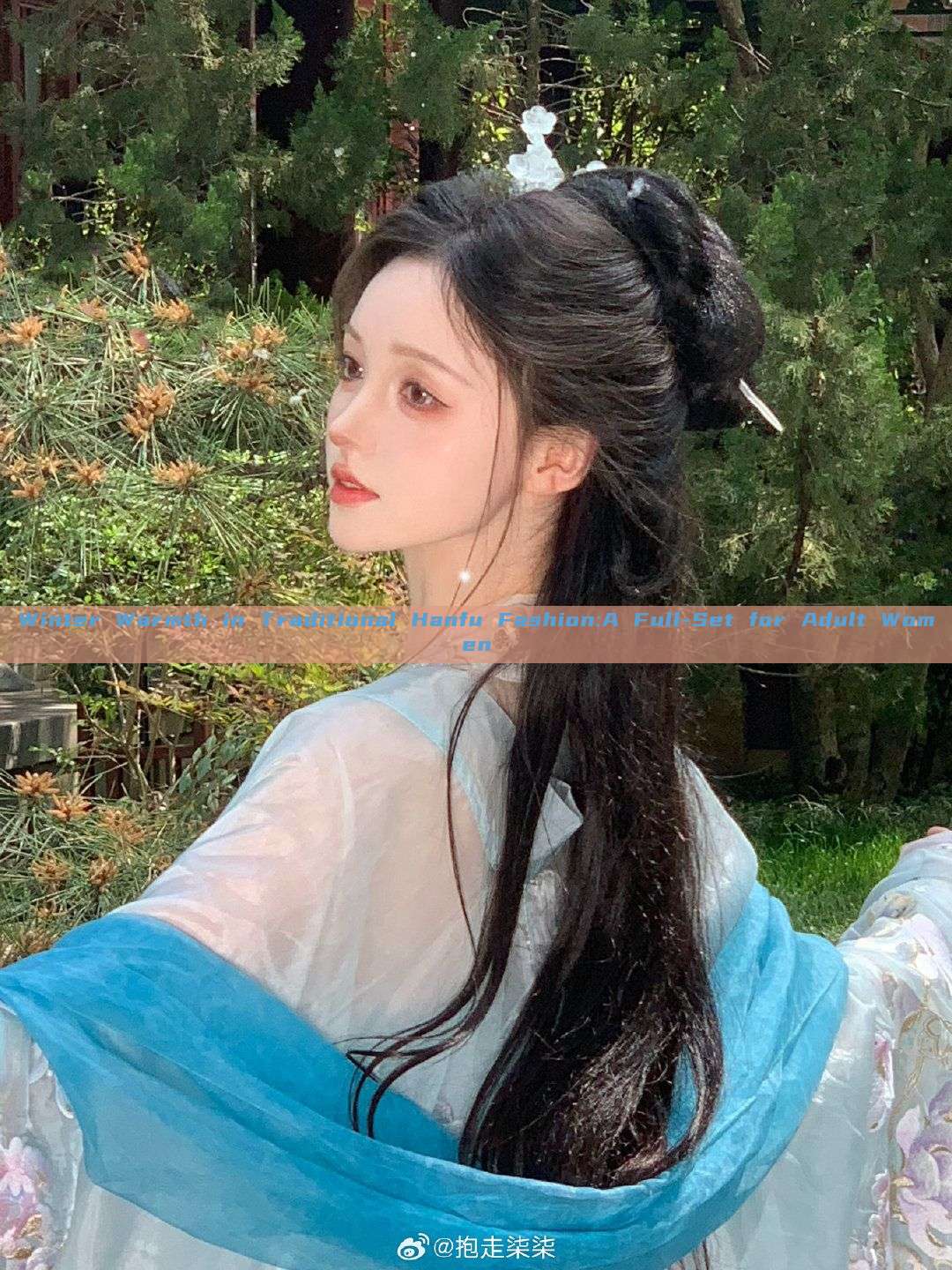 Winter Warmth in Traditional Hanfu Fashion:A Full-Set for Adult Women Winter Warmth in Traditional Hanfu Fashion:A Full-Set for Adult Women