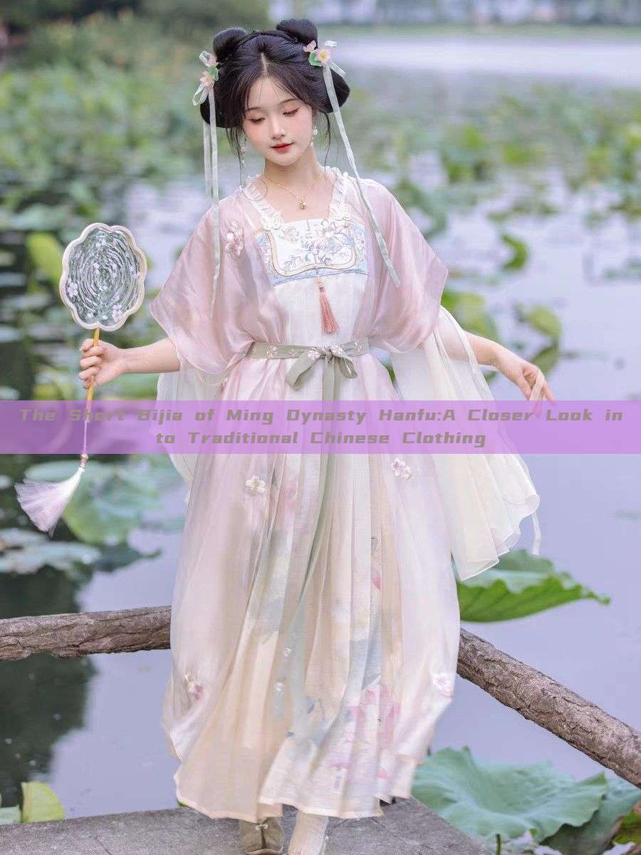 The Short Bijia of Ming Dynasty Hanfu:A Closer Look into Traditional Chinese Clothing The Short Bijia of Ming Dynasty Hanfu:A Closer Look into Traditional Chinese Clothing