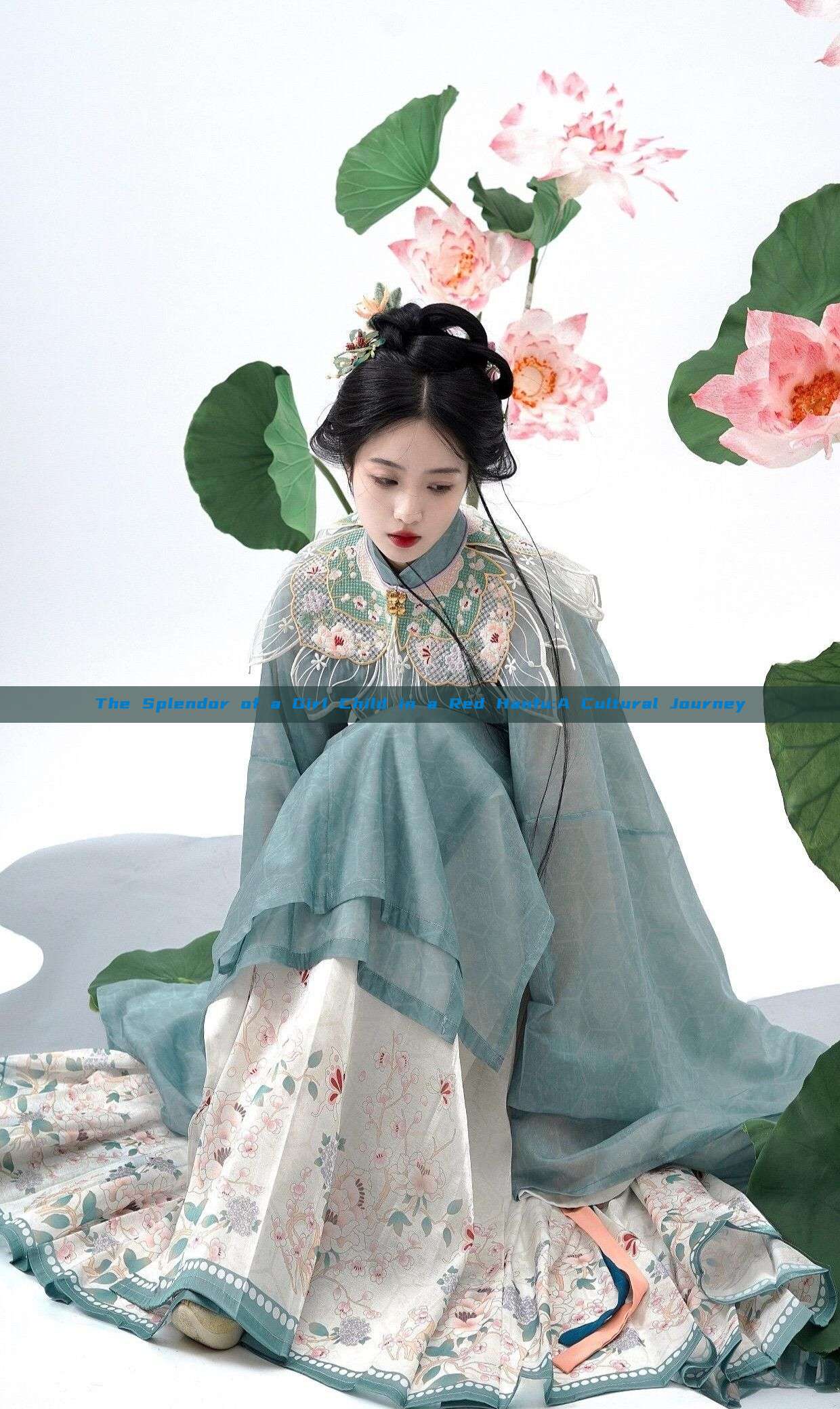The Splendor of a Girl Child in a Red Hanfu:A Cultural Journey The Splendor of a Girl Child in a Red Hanfu:A Cultural Journey