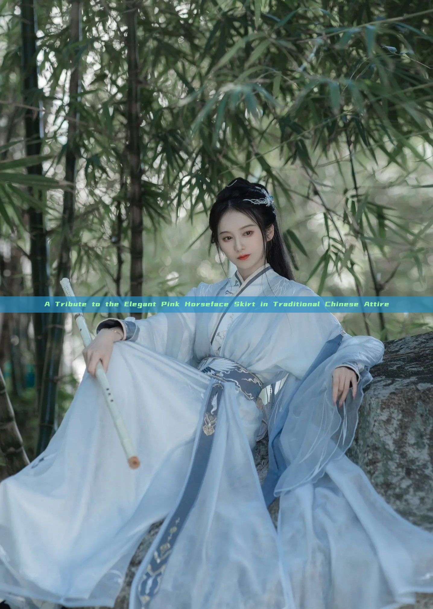 A Tribute to the Elegant Pink Horseface Skirt in Traditional Chinese Attire A Tribute to the Elegant Pink Horseface Skirt in Traditional Chinese Attire