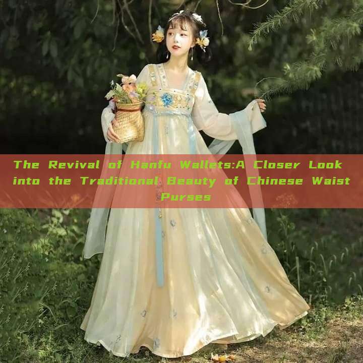The Revival of Hanfu Wallets:A Closer Look into the Traditional Beauty of Chinese Waist Purses The Revival of Hanfu Wallets:A Closer Look into the Traditional Beauty of Chinese Waist Purses
