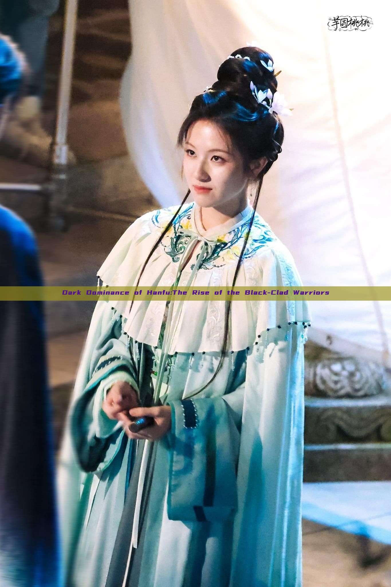 Dark Dominance of Hanfu:The Rise of the Black-Clad Warriors Dark Dominance of Hanfu:The Rise of the Black-Clad Warriors
