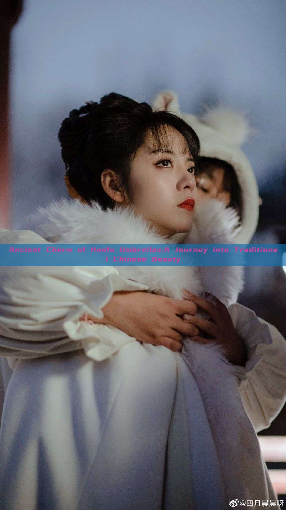 Ancient Charm of Hanfu Umbrellas:A Journey into Traditional Chinese Beauty Ancient Charm of Hanfu Umbrellas:A Journey into Traditional Chinese Beauty