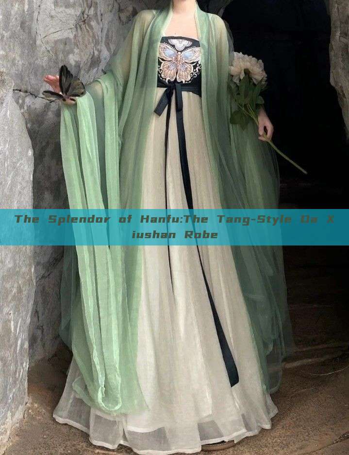 The Splendor of Hanfu:The Tang-Style Da Xiushan Robe The Splendor of Hanfu:The Tang-Style Da Xiushan Robe
