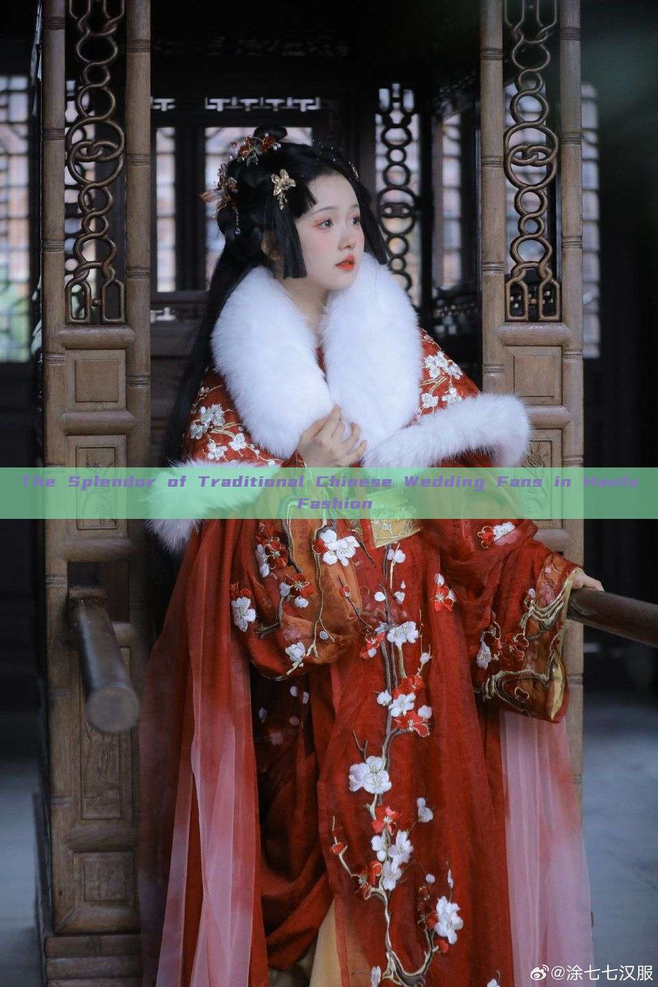 The Splendor of Traditional Chinese Wedding Fans in Hanfu Fashion