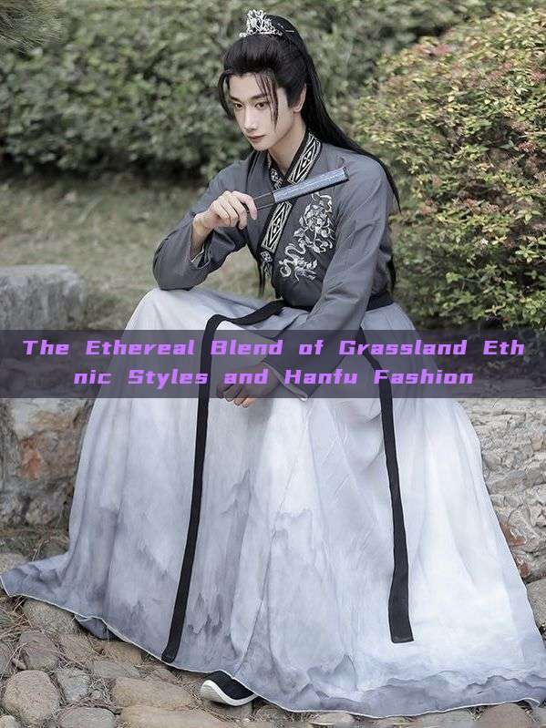 The Ethereal Blend of Grassland Ethnic Styles and Hanfu Fashion The Ethereal Blend of Grassland Ethnic Styles and Hanfu Fashion