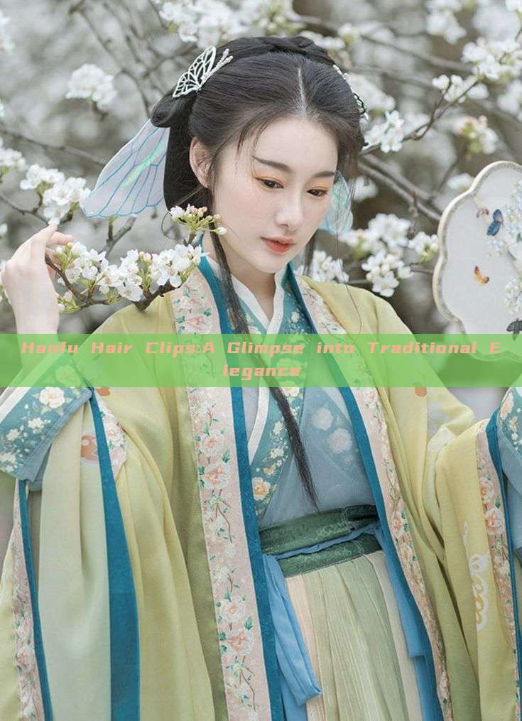 Hanfu Hair Clips:A Glimpse into Traditional Elegance Hanfu Hair Clips:A Glimpse into Traditional Elegance