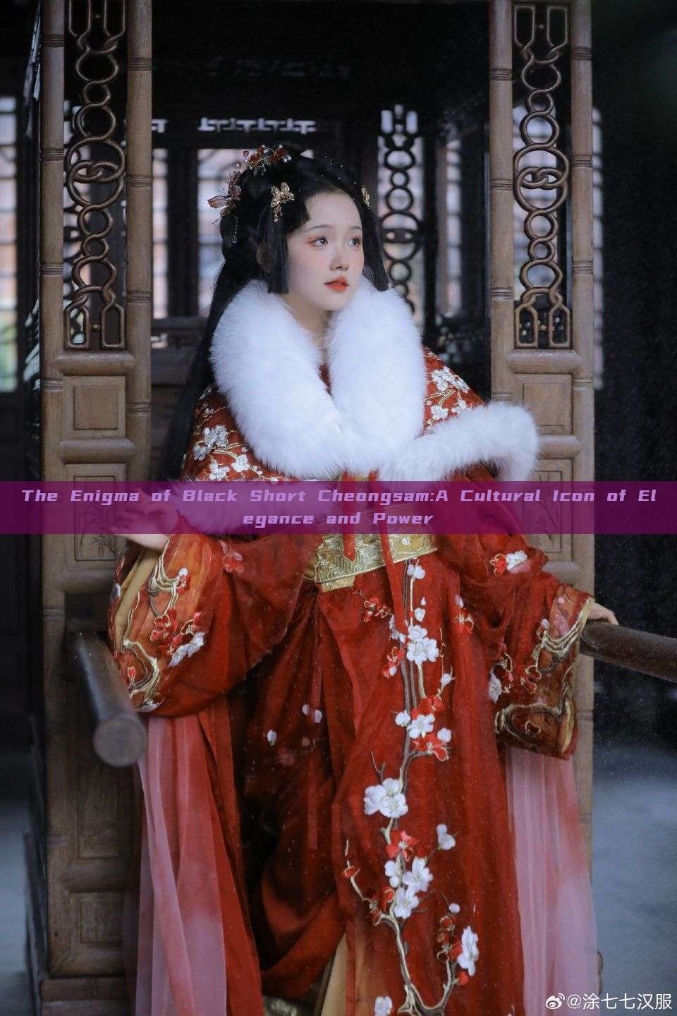 The Enigma of Black Short Cheongsam:A Cultural Icon of Elegance and Power The Enigma of Black Short Cheongsam:A Cultural Icon of Elegance and Power