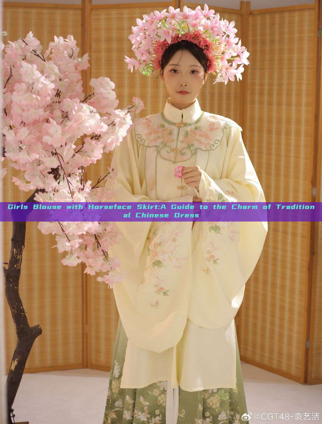 Girls Blouse with Horseface Skirt:A Guide to the Charm of Traditional Chinese Dress Girls Blouse with Horseface Skirt:A Guide to the Charm of Traditional Chinese Dress