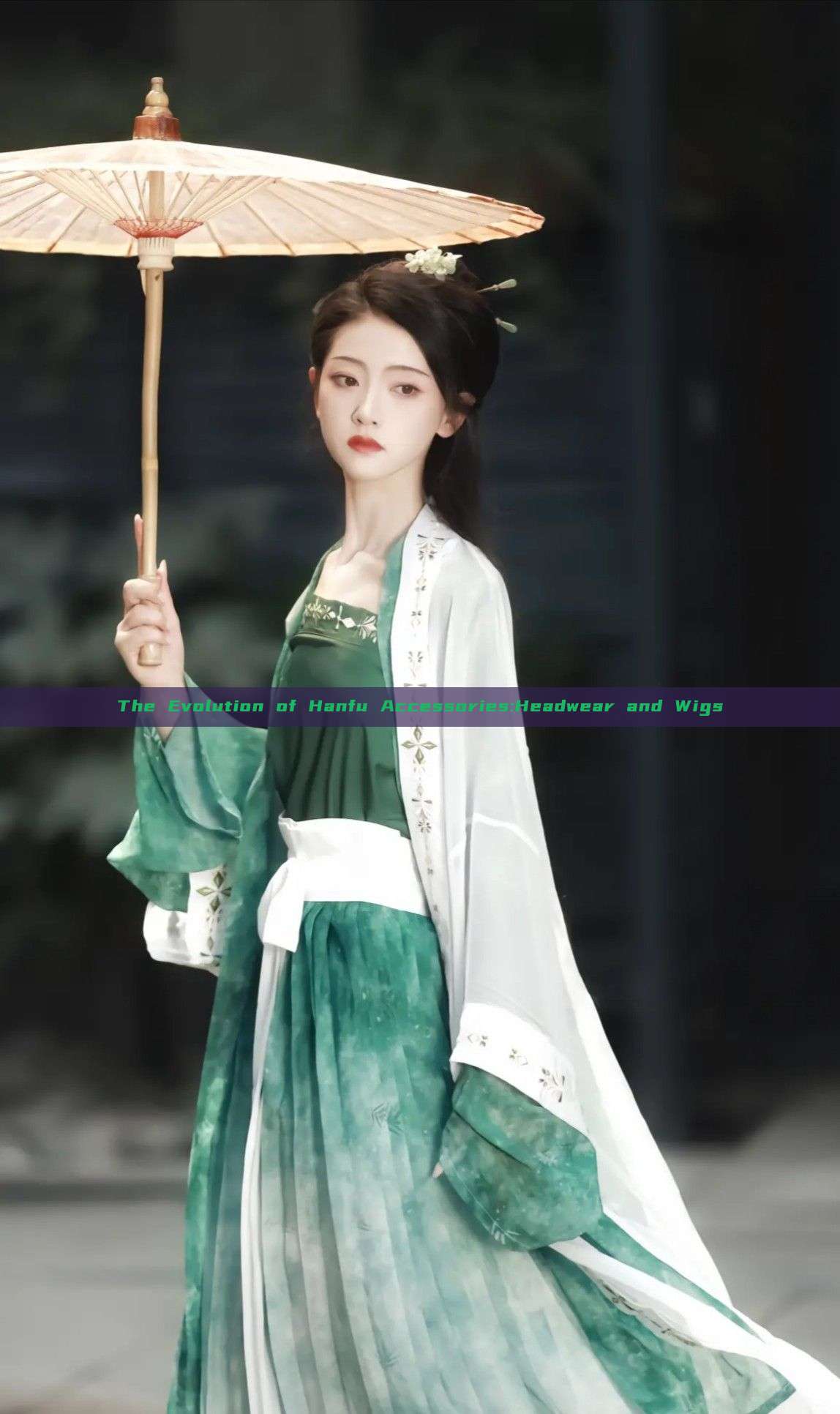 The Evolution of Hanfu Accessories:Headwear and Wigs The Evolution of Hanfu Accessories:Headwear and Wigs