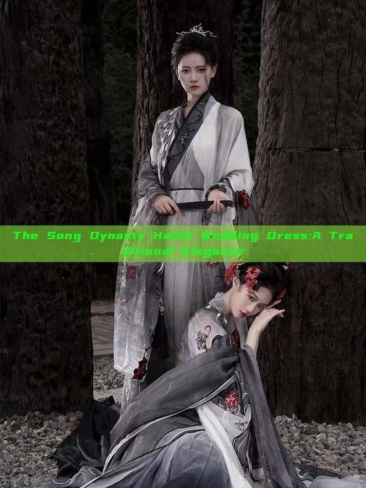 The Song Dynasty Hanfu Wedding Dress:A Traditional Elegance The Song Dynasty Hanfu Wedding Dress:A Traditional Elegance