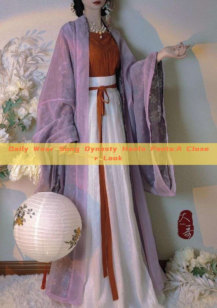 Daily Wear Song Dynasty Hanfu Pants:A Closer Look Daily Wear Song Dynasty Hanfu Pants:A Closer Look