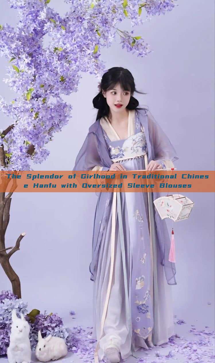 The Splendor of Girlhood in Traditional Chinese Hanfu with Oversized Sleeve Blouses