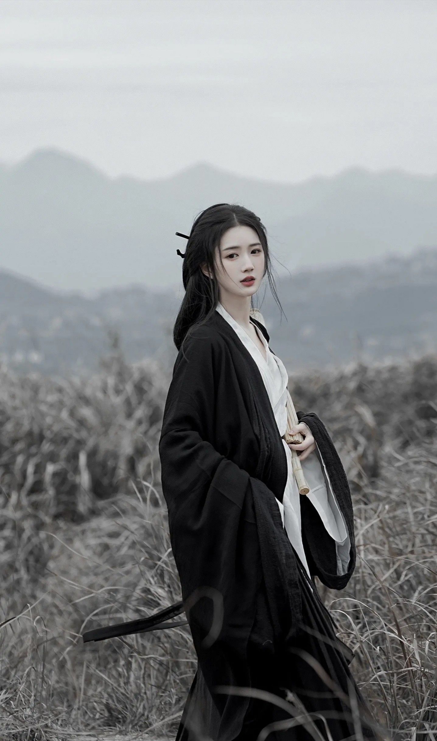The Splendid Charm of Hair Combs in Traditional Hanfu Fashion The Splendid Charm of Hair Combs in Traditional Hanfu Fashion