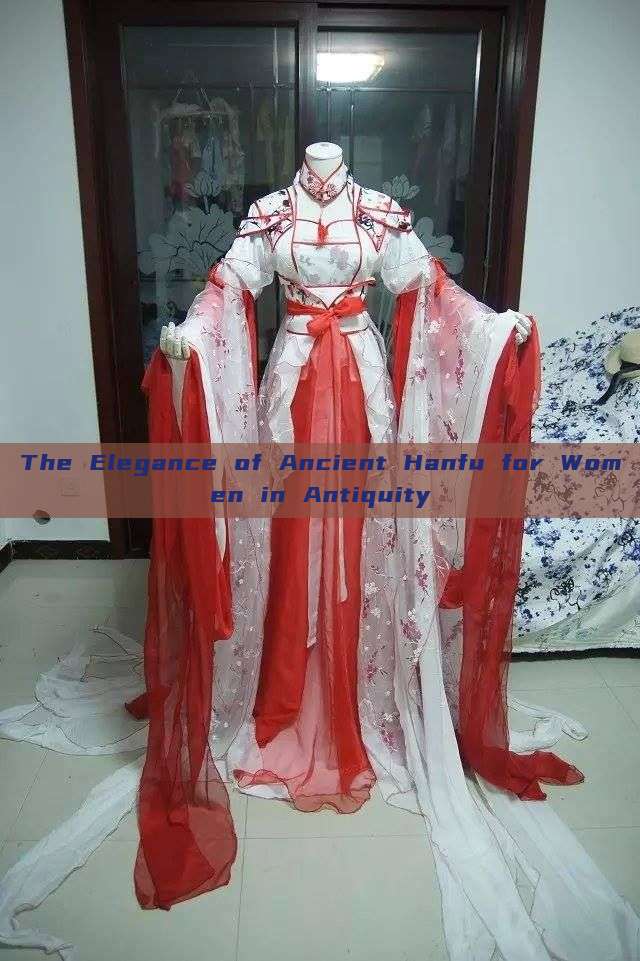 The Elegance of Ancient Hanfu for Women in Antiquity