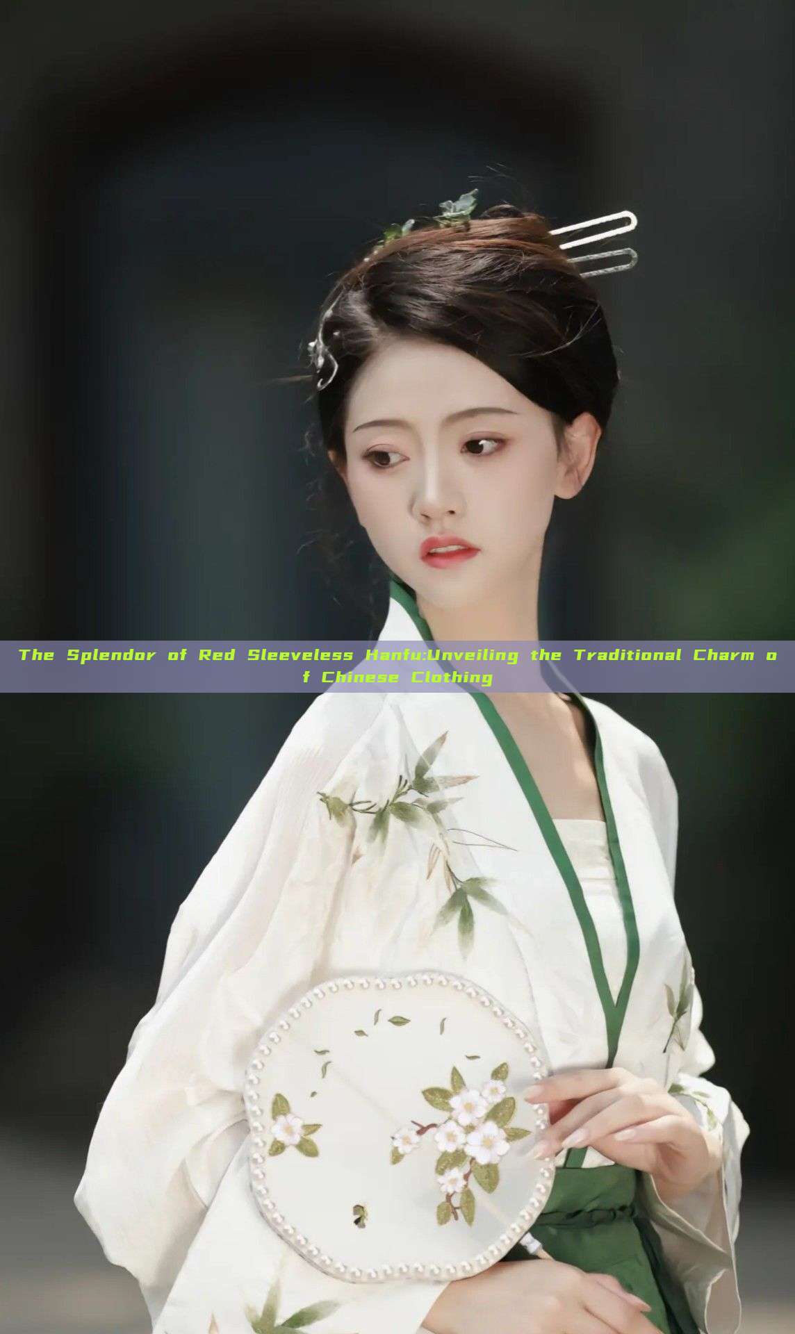 The Splendor of Red Sleeveless Hanfu:Unveiling the Traditional Charm of Chinese Clothing