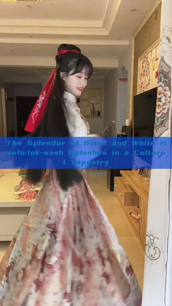 The Splendor of Black and White Hanfu:Ink-wash Splashes in a Cultural Tapestry The Splendor of Black and White Hanfu:Ink-wash Splashes in a Cultural Tapestry
