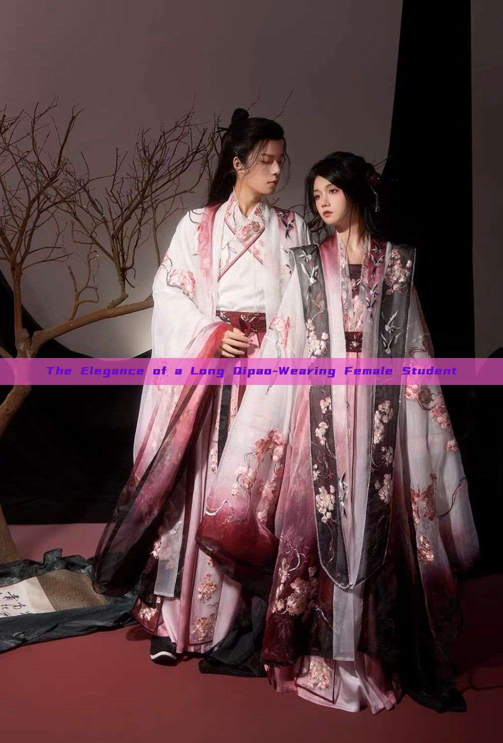The Elegance of a Long Qipao-Wearing Female Student