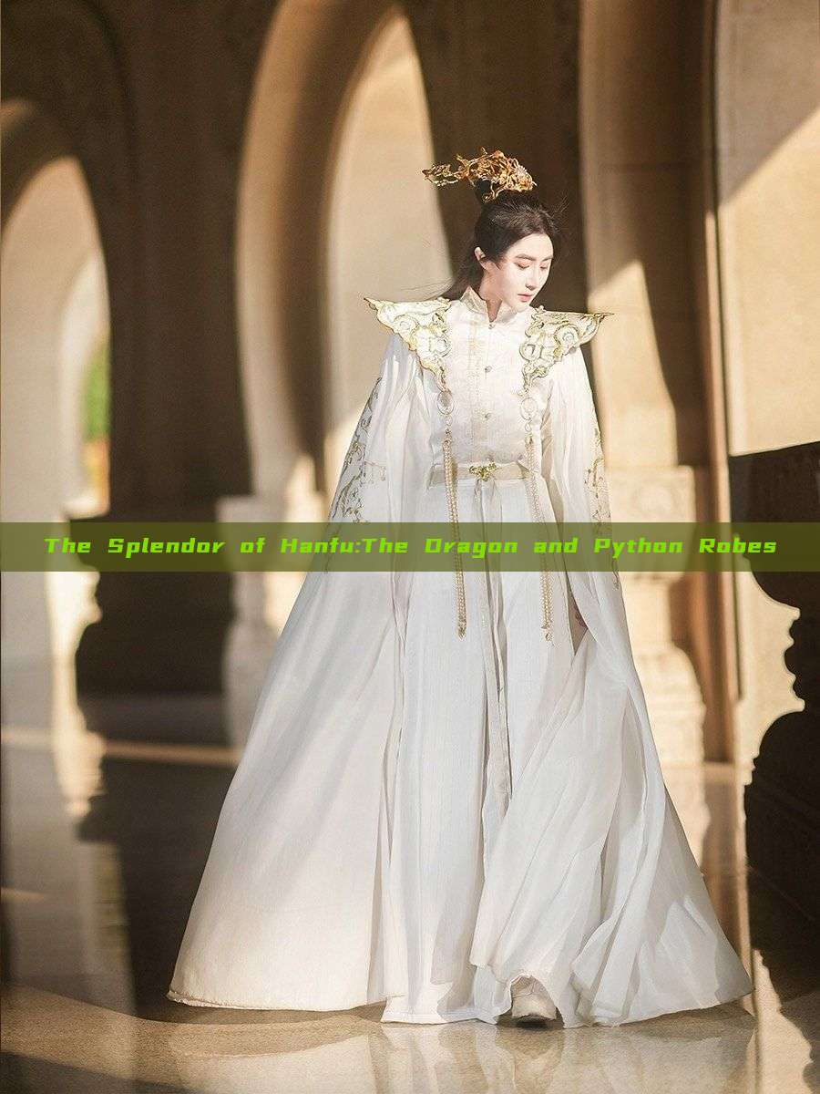 The Splendor of Hanfu:The Dragon and Python Robes The Splendor of Hanfu:The Dragon and Python Robes