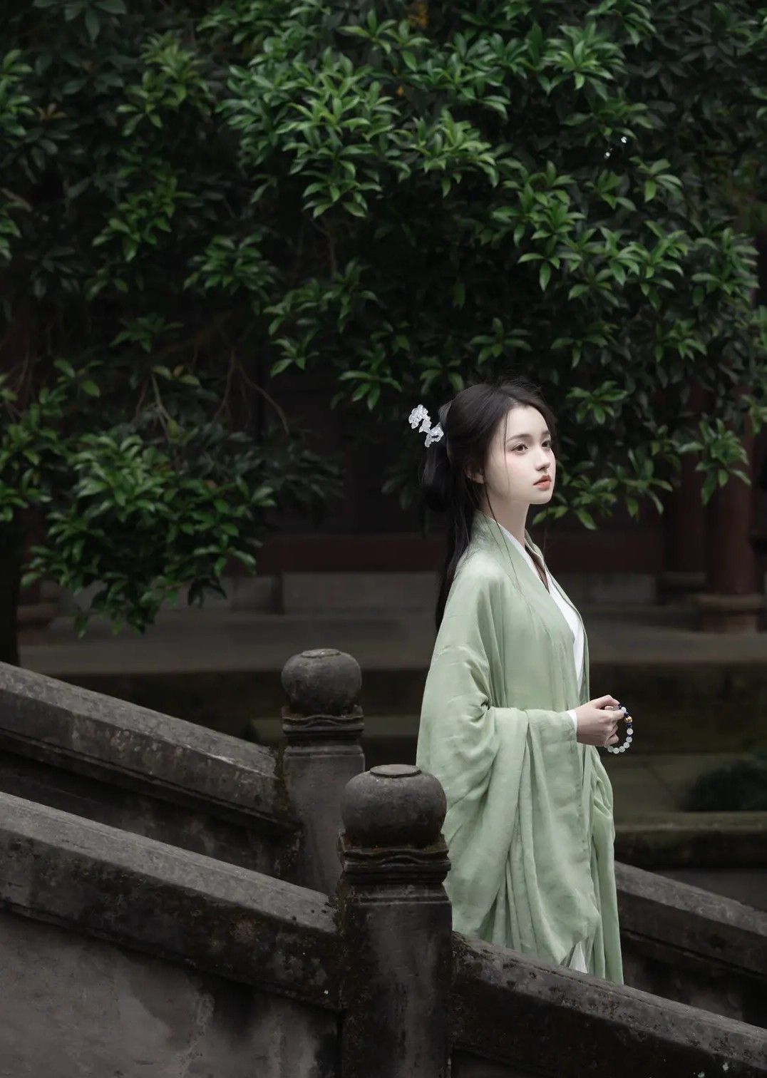 Winter Warmth in Ancient Hanfu Hooded Robes for Women Winter Warmth in Ancient Hanfu Hooded Robes for Women