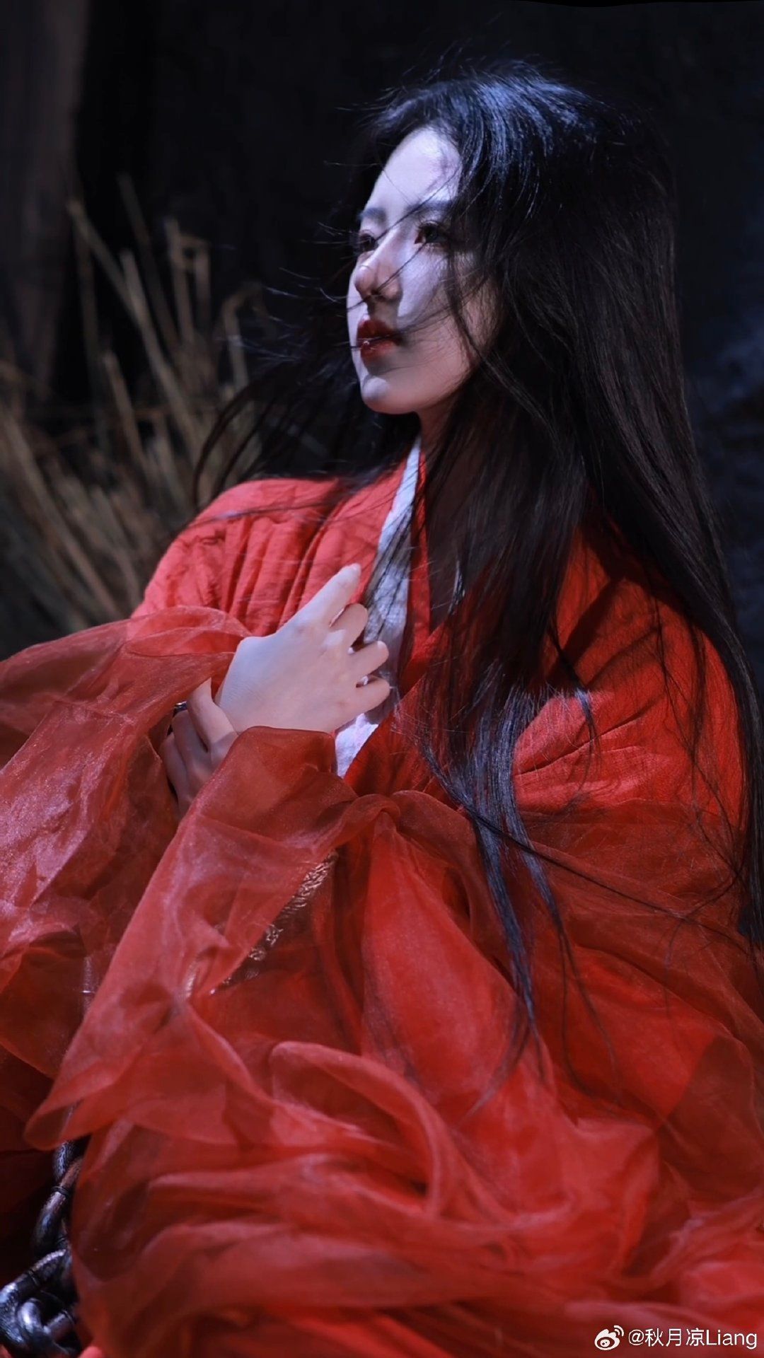 Ancient-Style Hanfu Girls Hair Accessories:The Charm of Back Combs Ancient-Style Hanfu Girls Hair Accessories:The Charm of Back Combs