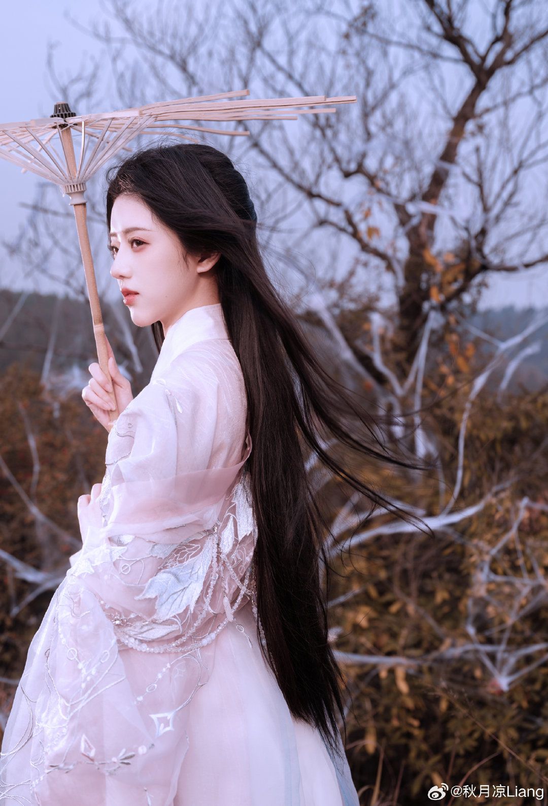 The Elegance of a Silver-Black Horseface Skirt:A Closer Look into Traditional Beauty