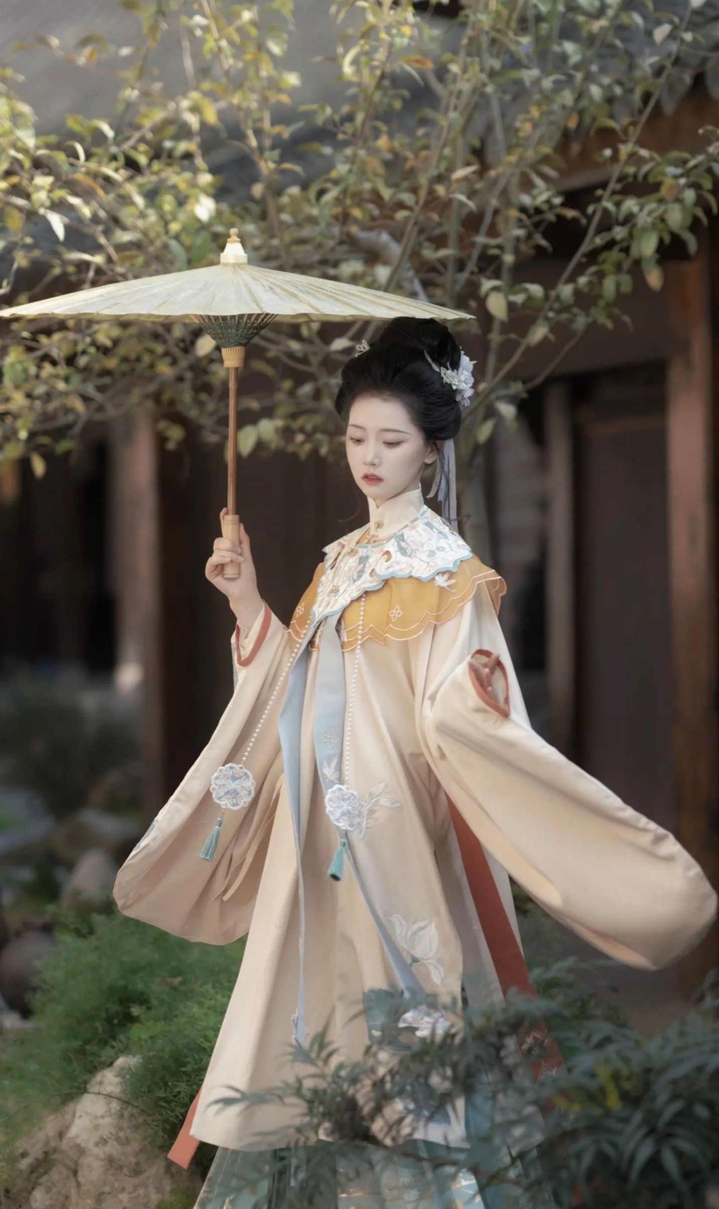 Embracing Modernity in Traditional Tang-Style Hanfu:The Evolution of Plus-Size Fashion Embracing Modernity in Traditional Tang-Style Hanfu:The Evolution of Plus-Size Fashion