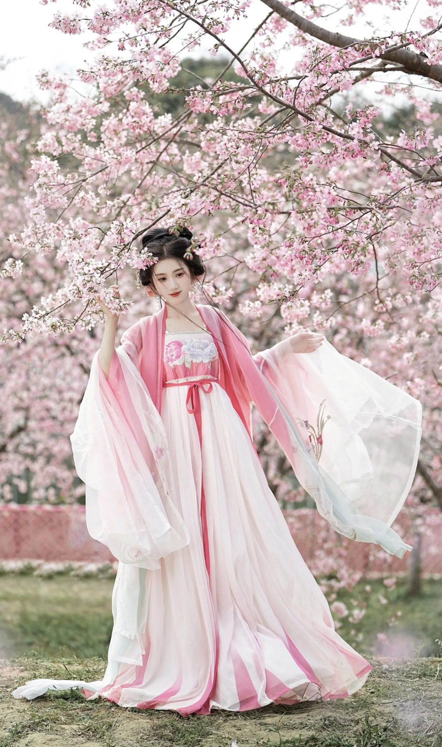 Summer in the Cheongsam:The Story of a Modern Mother-in-Law Summer in the Cheongsam:The Story of a Modern Mother-in-Law