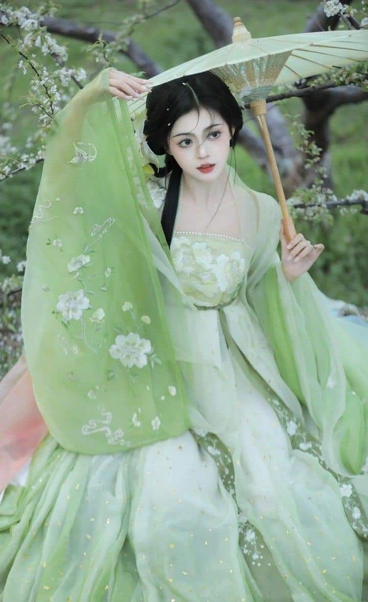 Slimming and Elegant Qipao:The Allure of Traditional Chinese Dress Slimming and Elegant Qipao:The Allure of Traditional Chinese Dress