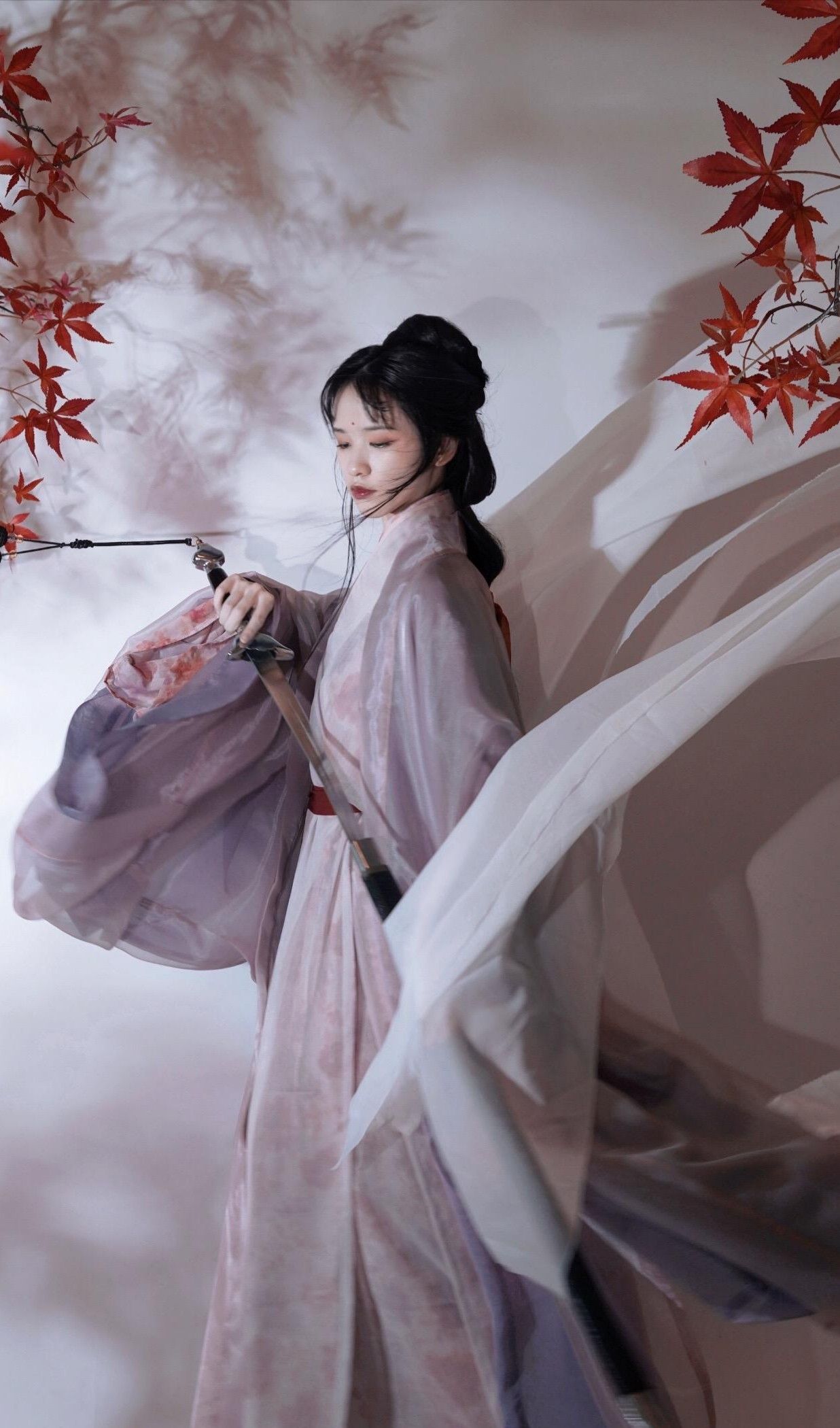 The Ethereal Beauty of Hanfu Hair Accessories:A Study on Tassel Decorations The Ethereal Beauty of Hanfu Hair Accessories:A Study on Tassel Decorations