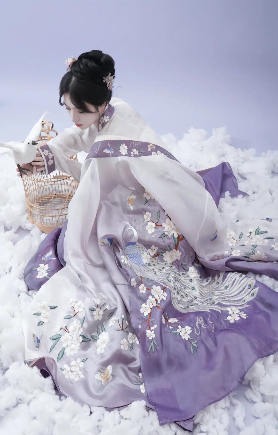 Ming-Style Hanfu for Petite Women:The Art of Donning Traditional Elegance Ming-Style Hanfu for Petite Women:The Art of Donning Traditional Elegance
