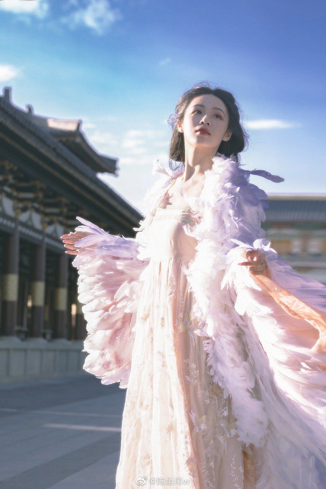Elegant Womens Tang-Style Chinese Heritage Jacket:A Premium Blend of Tradition and Modernity Elegant Womens Tang-Style Chinese Heritage Jacket:A Premium Blend of Tradition and Modernity