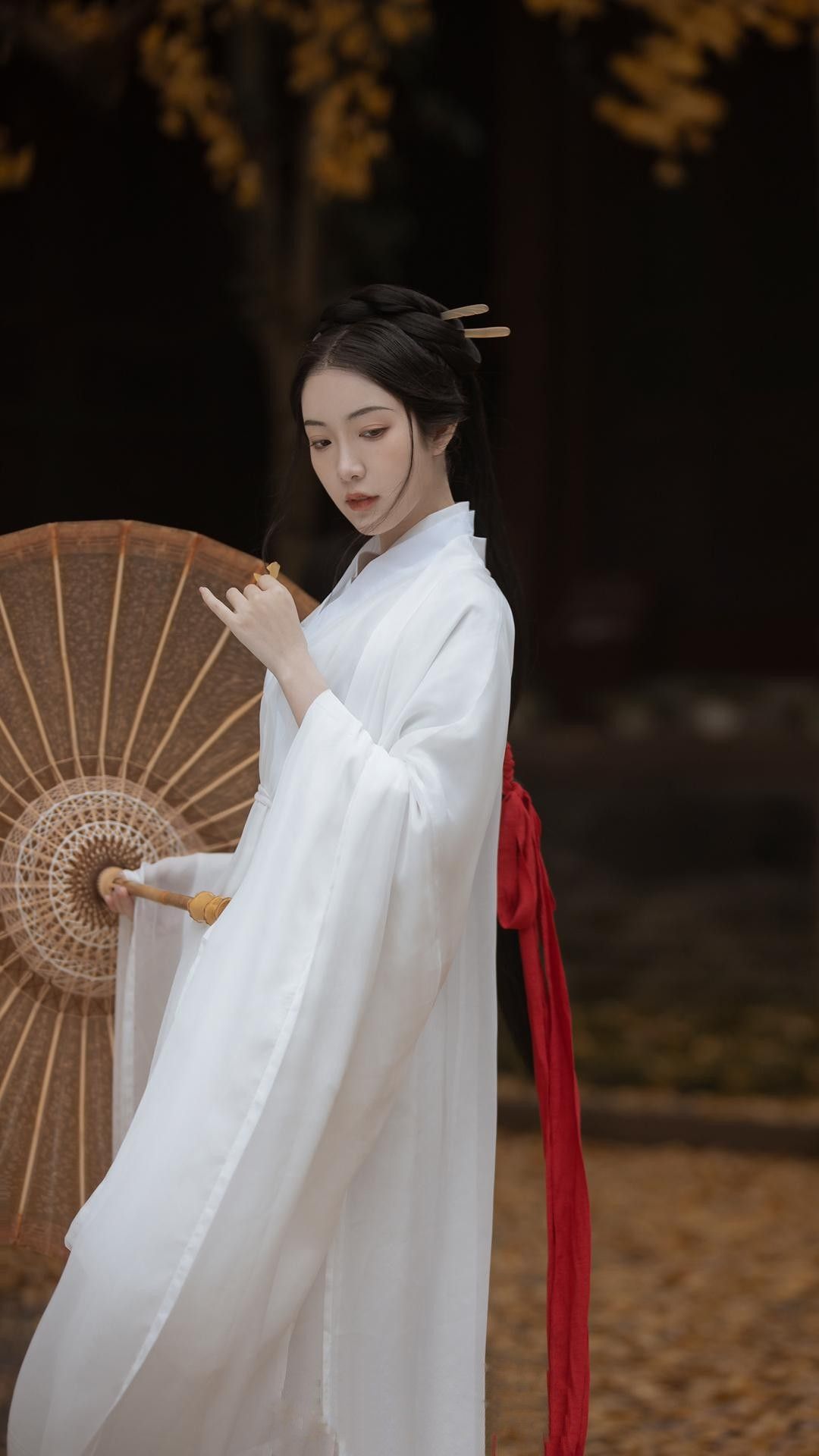 Traditional Horseface Skirt Set for Engagement Ceremony Traditional Horseface Skirt Set for Engagement Ceremony