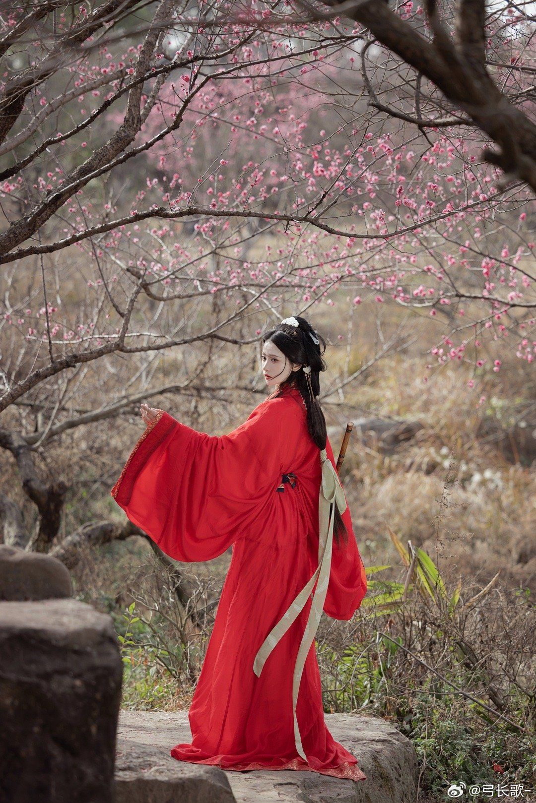 The Dominating Charm of Hanfu at Age 12:A Journey into the World of Bold Traditional Elegance The Dominating Charm of Hanfu at Age 12:A Journey into the World of Bold Traditional Elegance