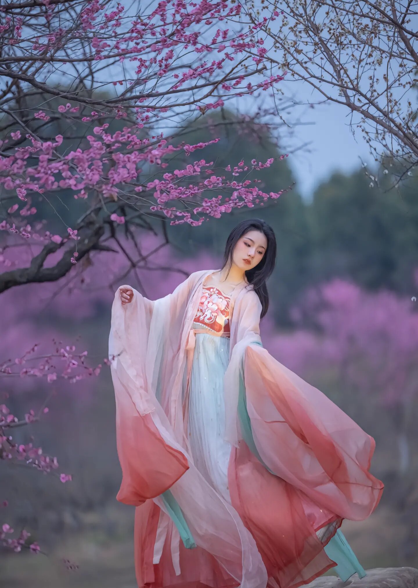 Little Girls Short-sleeved Hanfu Skirts:A Blend of Tradition and Modernity Little Girls Short-sleeved Hanfu Skirts:A Blend of Tradition and Modernity