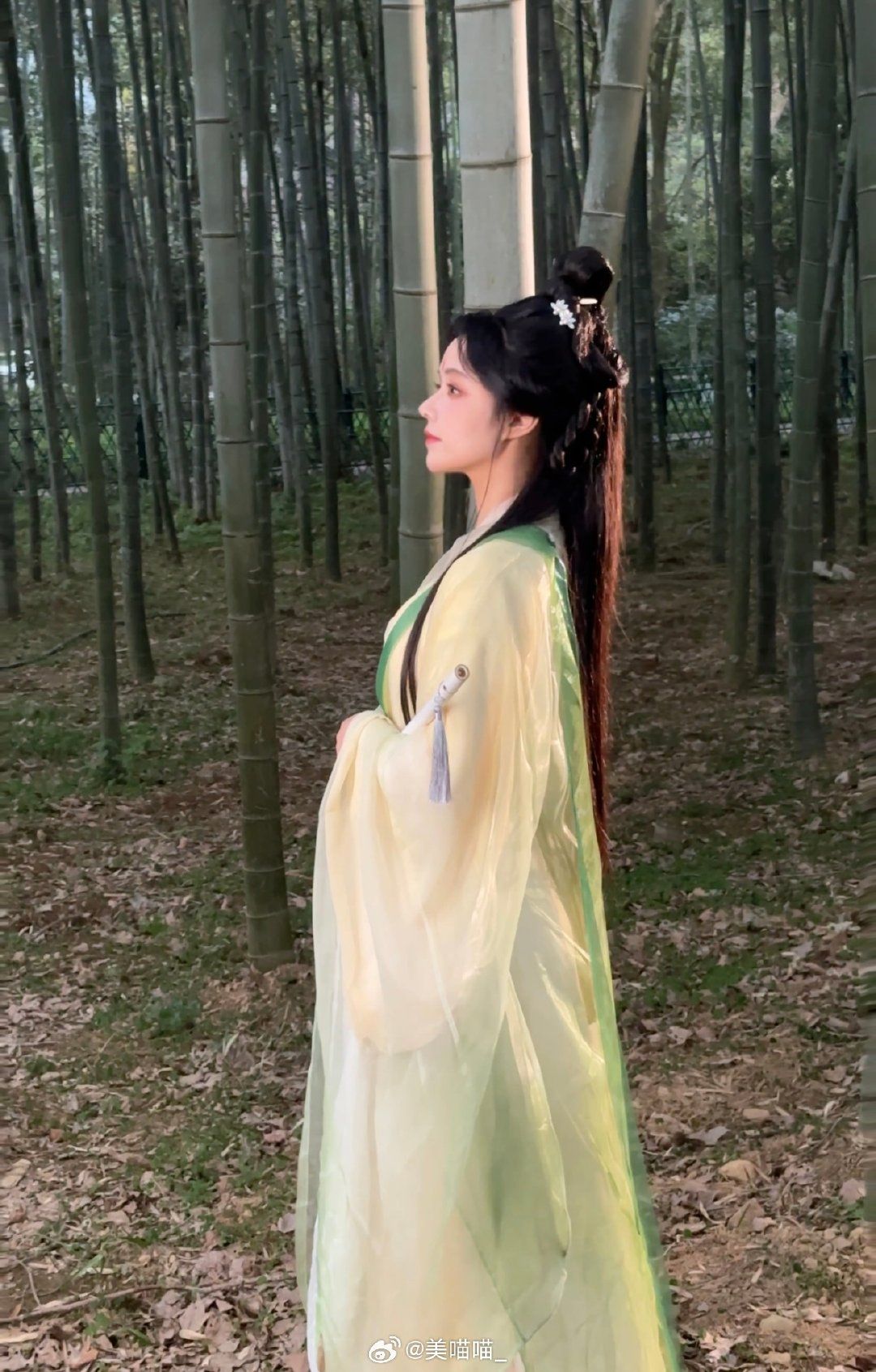 Embracing the Beauty of Plus-Size Chinese Cheongsam The New Fashion Trend for Curvier Women Embracing the Beauty of Plus-Size Chinese Cheongsam The New Fashion Trend for Curvier Women