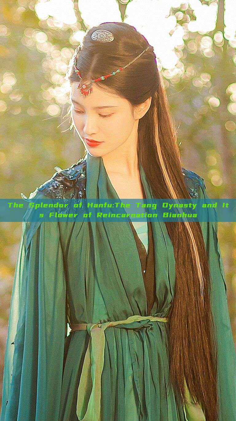 The Splendor of Hanfu:The Tang Dynasty and Its Flower of Reincarnation Bianhua