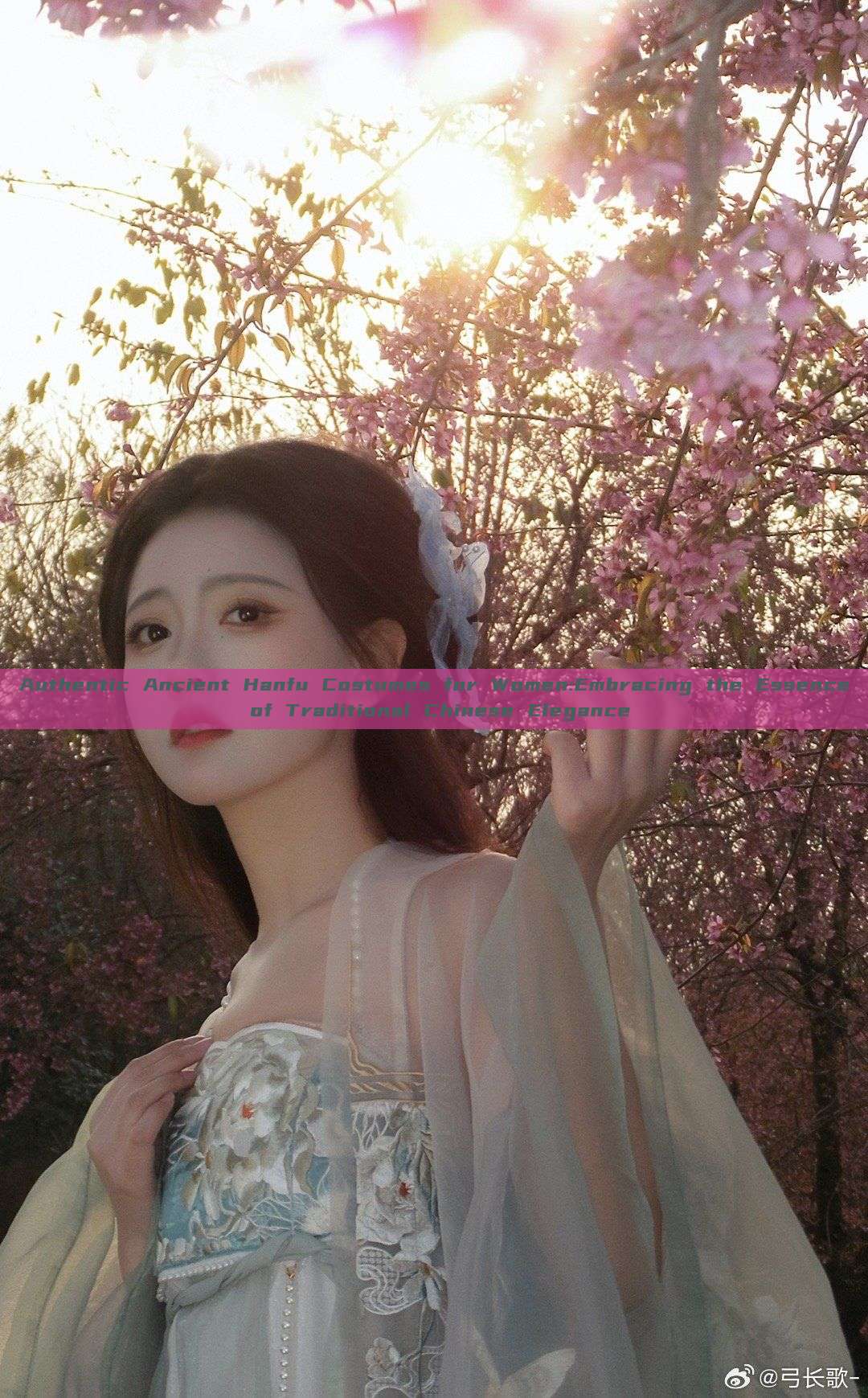 Authentic Ancient Hanfu Costumes for Women:Embracing the Essence of Traditional Chinese Elegance Authentic Ancient Hanfu Costumes for Women:Embracing the Essence of Traditional Chinese Elegance