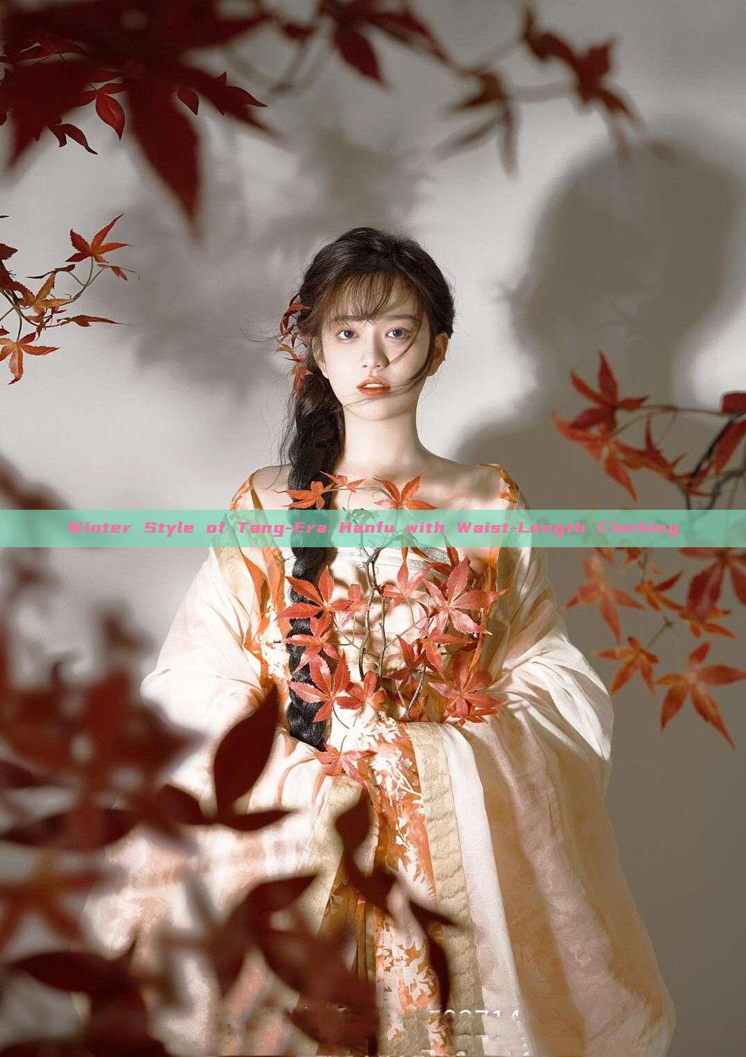 Winter Style of Tang-Era Hanfu with Waist-Length Clothing Winter Style of Tang-Era Hanfu with Waist-Length Clothing
