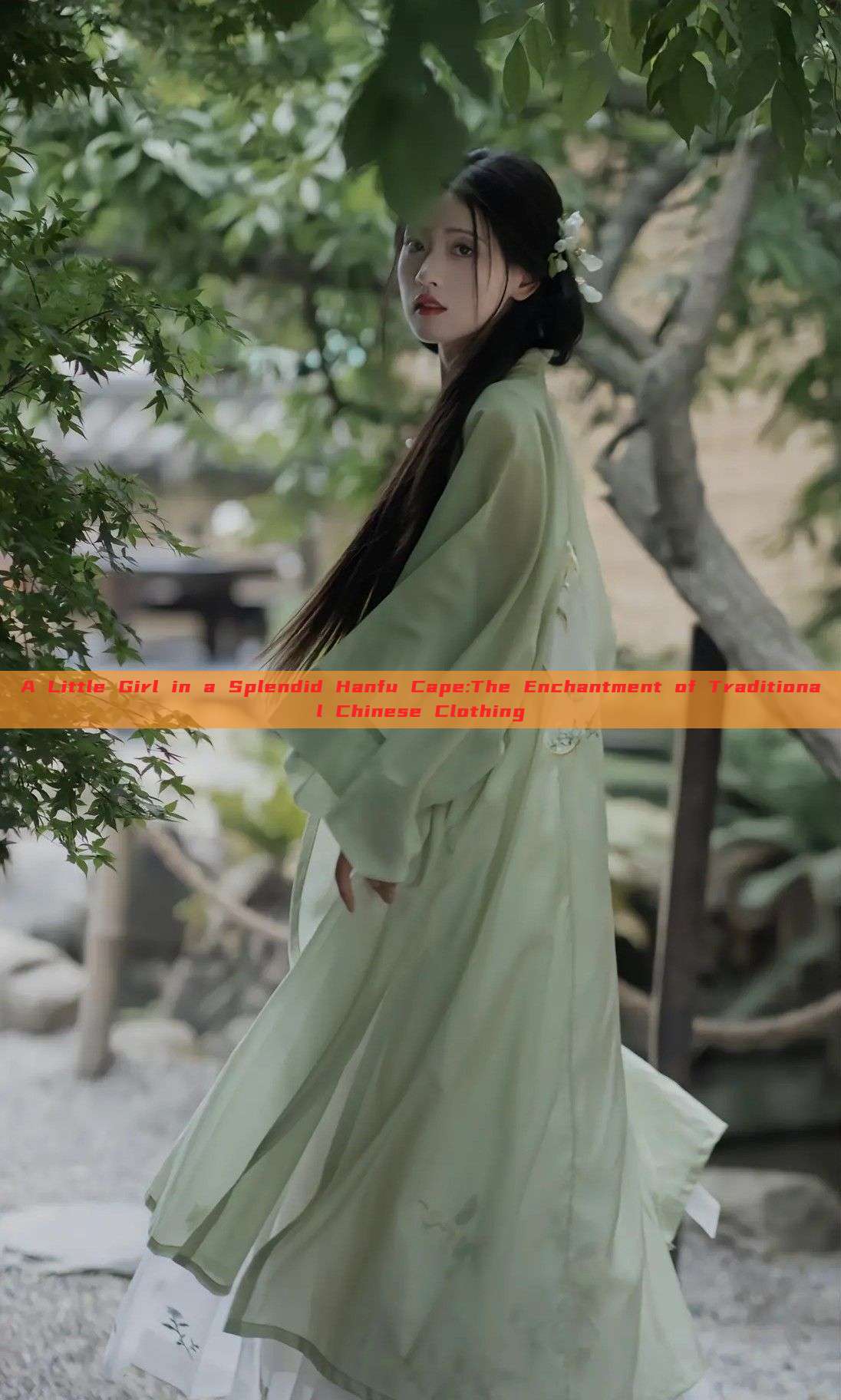 A Little Girl in a Splendid Hanfu Cape:The Enchantment of Traditional Chinese Clothing A Little Girl in a Splendid Hanfu Cape:The Enchantment of Traditional Chinese Clothing