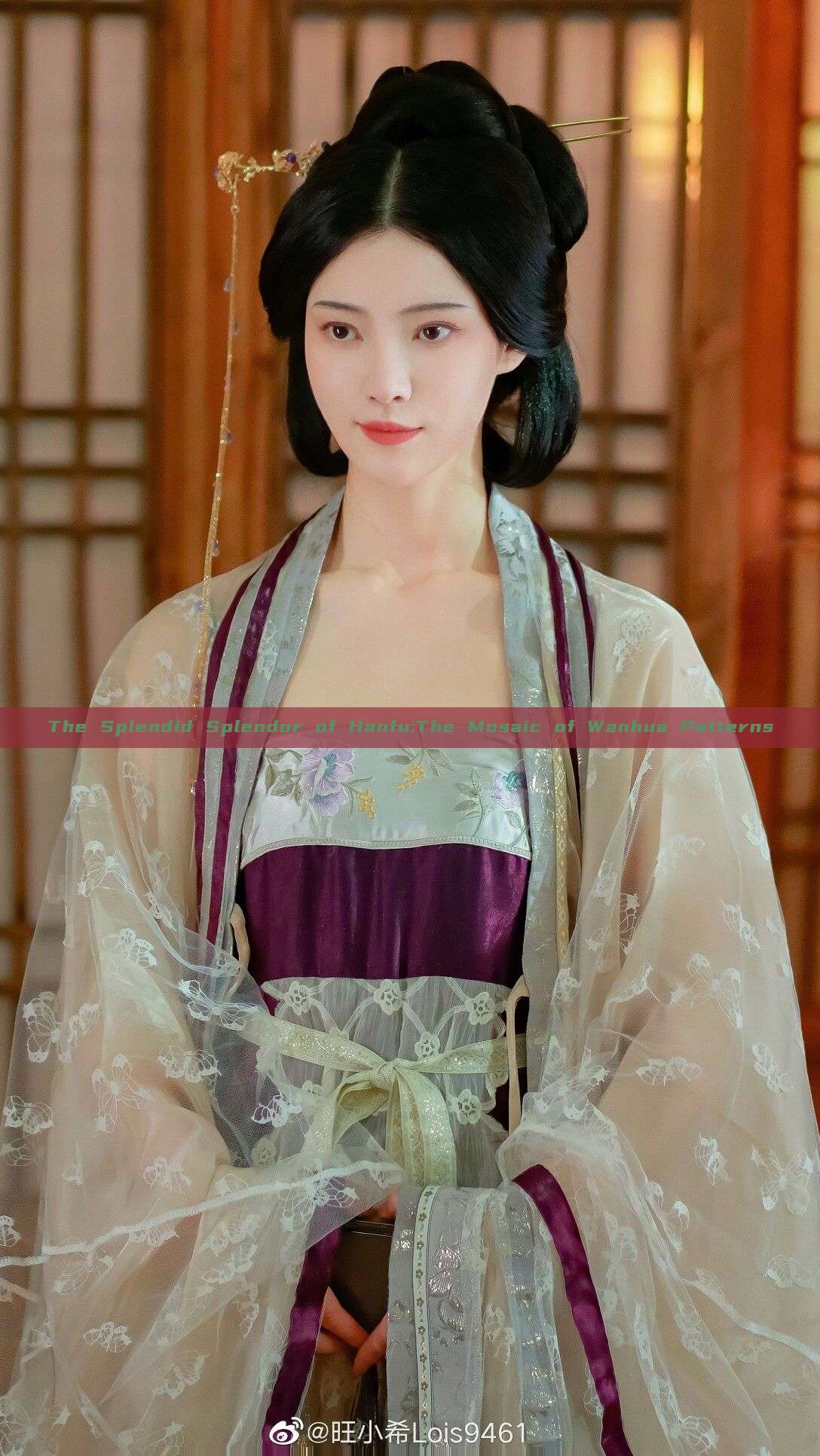 The Splendid Splendor of Hanfu:The Mosaic of Wanhua Patterns