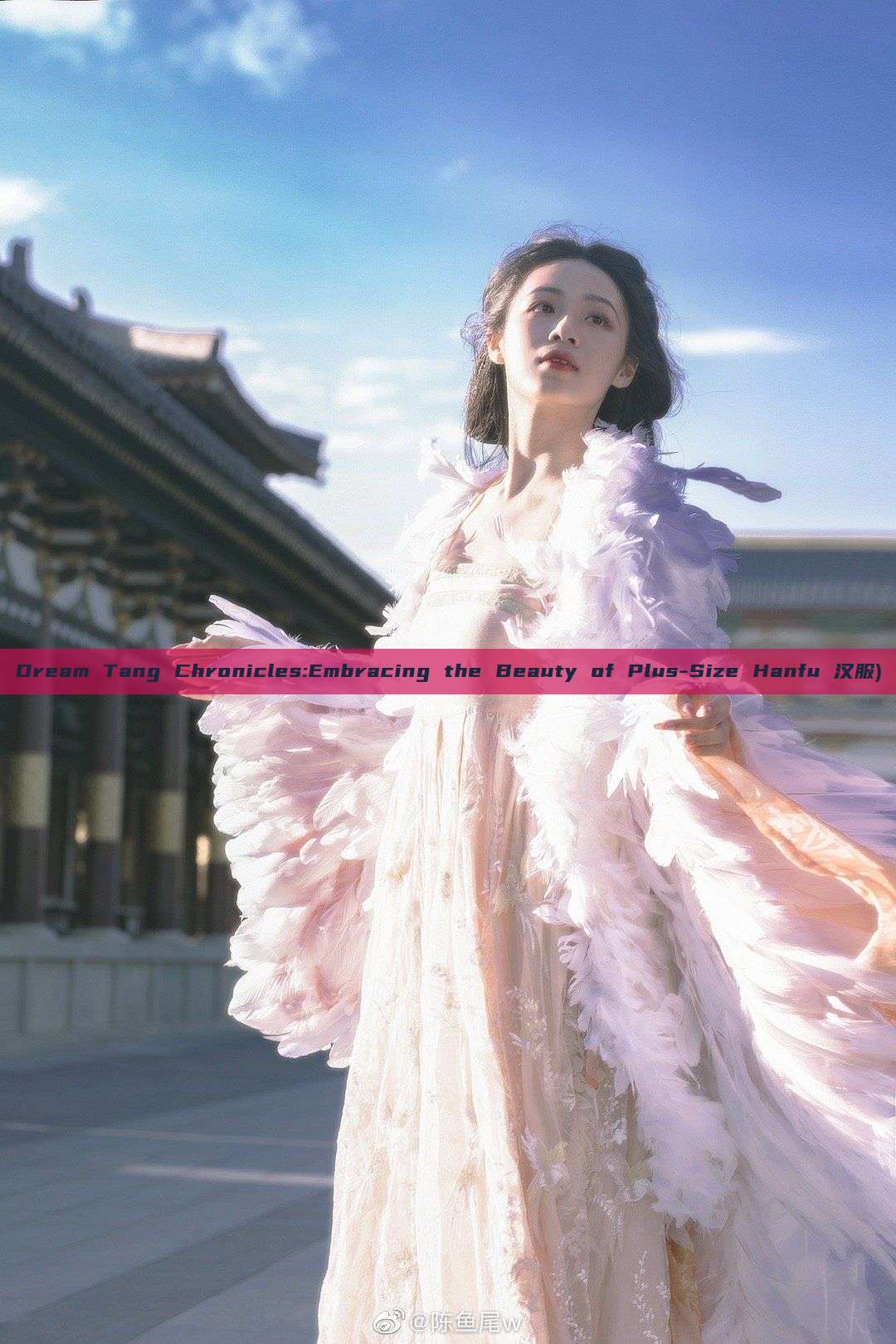 Dream Tang Chronicles:Embracing the Beauty of Plus-Size Hanfu 汉服) Dream Tang Chronicles:Embracing the Beauty of Plus-Size Hanfu 汉服)