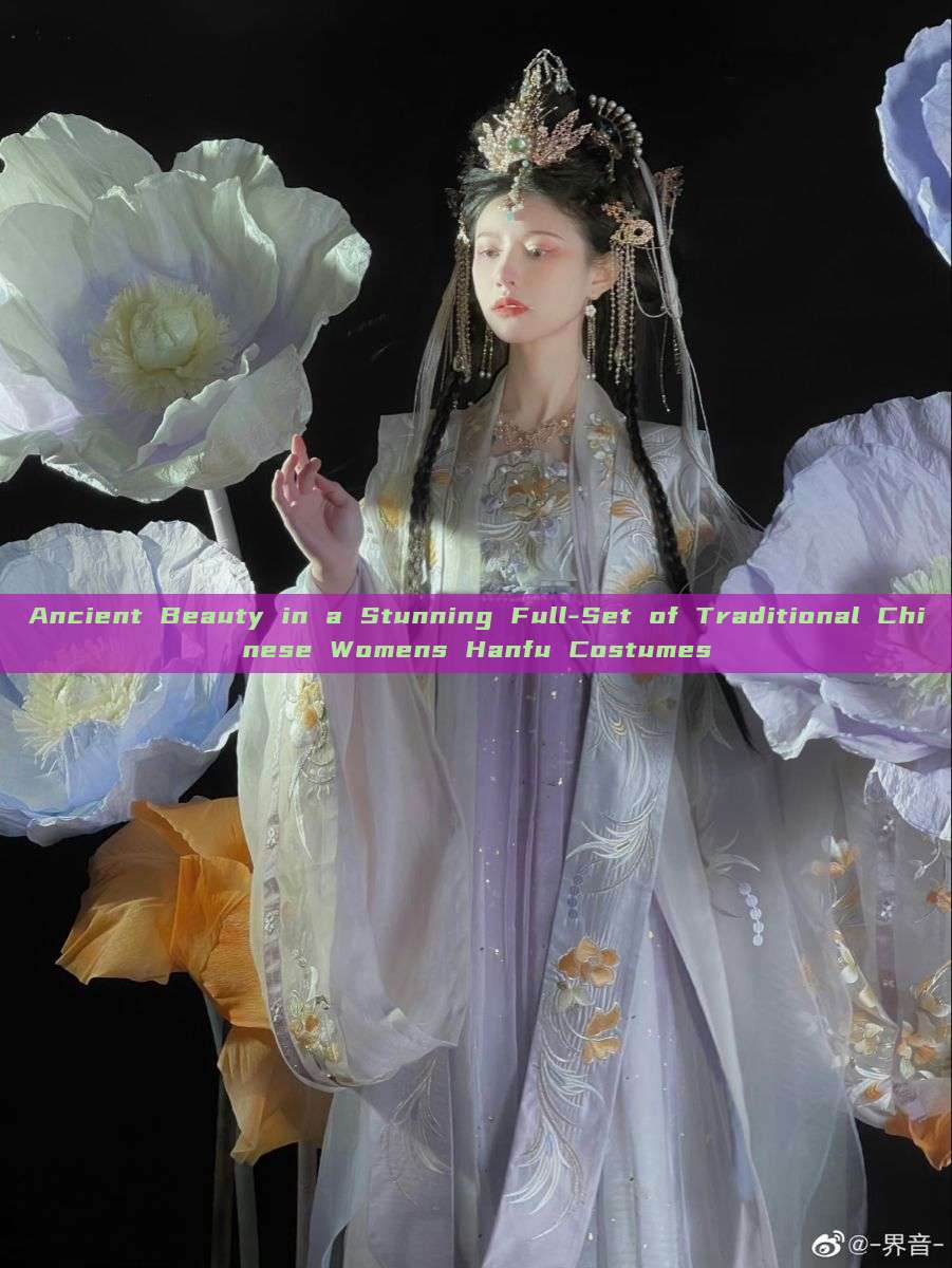 Ancient Beauty in a Stunning Full-Set of Traditional Chinese Womens Hanfu Costumes