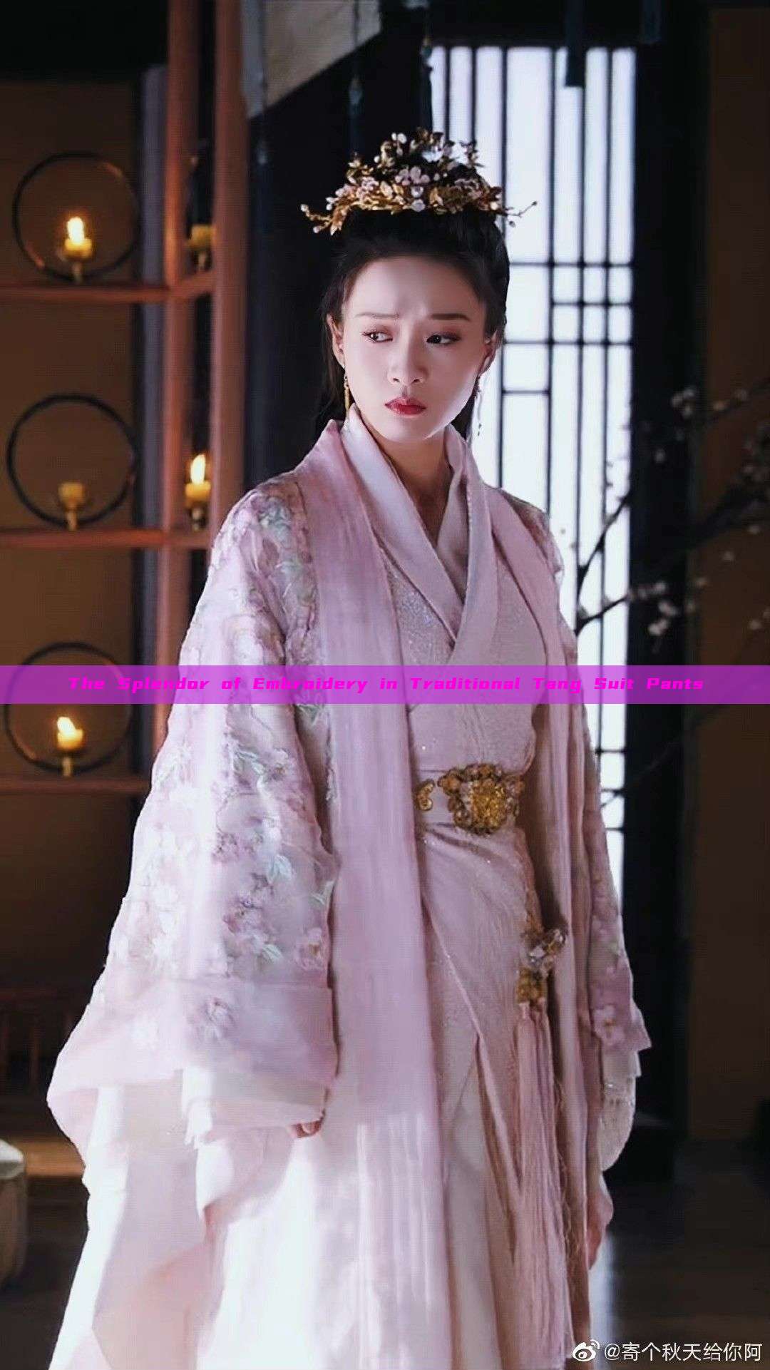 The Splendor of Embroidery in Traditional Tang Suit Pants The Splendor of Embroidery in Traditional Tang Suit Pants