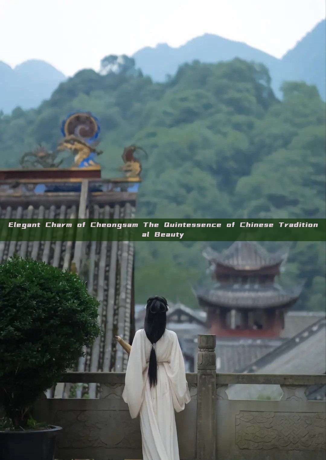 Elegant Charm of Cheongsam The Quintessence of Chinese Traditional Beauty Elegant Charm of Cheongsam The Quintessence of Chinese Traditional Beauty