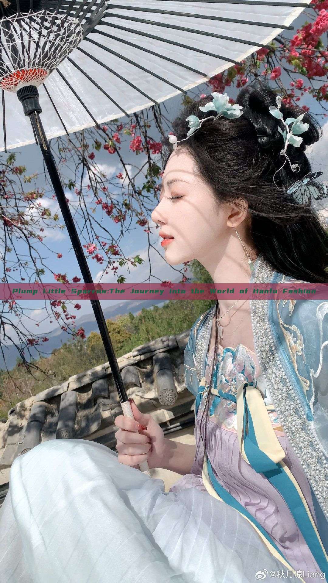 Plump Little Sparrow:The Journey into the World of Hanfu Fashion Plump Little Sparrow:The Journey into the World of Hanfu Fashion